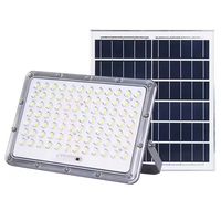 Lampe LED d'extérieur de bonne qualité 100 watts Réflecteur RVB Projecteur solaire Option différente