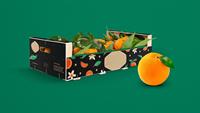 Verpakkingen van golfkarton voor fruit en groenten op maat, met handvat en dividers
