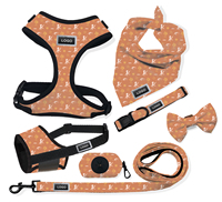 Ensemble de harnais réversible de noël pour animaux de compagnie, collier et nœud papillon pour chien, étiquette privée, Offre Spéciale
