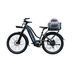 Vélo électrique léger 48V 750W pour adultes, fabriqué en Chine par Lazy Bear - Product Image 6