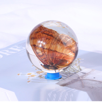 Poids de papier personnalisé en résine ovale avec inclusion d'un papillon moustique 3D