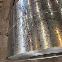 Bobine d'acier électrogalvanisé la plus populaire, 0,3 mm, 2 mm, 1000 mm, 1219 mm, calibre 26, calibre 30, bobine GI pour appareils électroménagers
