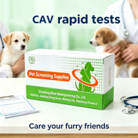 Bandelette de test rapide pour l'Adénovirus Canin (CAV Ag), cassette de diagnostic vétérinaire en une étape pour la détection de l'hépatite infectieuse chez les chiens