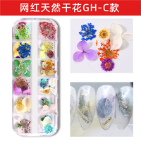 WELLFLYER-Fleur Sèche Naturelle pour Nail Art, Décoration 3D, Tranches UV, Vernis Gel, DIY, Conseils Manucure, Fleurs Sèches Décoratives, NABD-114