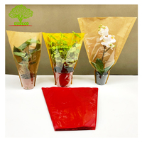 Couverture de plante en croissance compostable fleur basilic semis emballage papier Kraft + emballage de laitue hydroponique Bopp