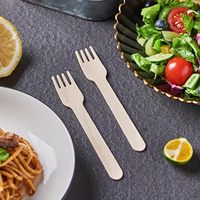 Ensemble de fourchettes, couteaux et cuillères jetables biodégradables et compostables en bois de bouleau naturel écologique