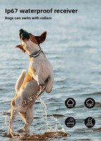Wiederaufladbares Anti-Bell Hundetrainingshalsband mit Piepton, Vibration und Elektrostatischem Schock zur Bellkontrolle
