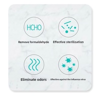 Boîte d'emballage solide en plastique blanc avec logo personnalisé pour désodorisant de voiture sans parfum, élimine les odeurs et parfum longue durée