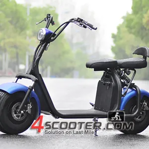 Dengan Harga Murah 18 Mph Electric Scooter Terbesar Ban Jalan Hukum