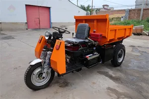 Jinwang Tricycle Motorcycle Diesel 3 Wheel Heavy Duty Diesel Tricycle Cargo Motorized Tricycles Dumper