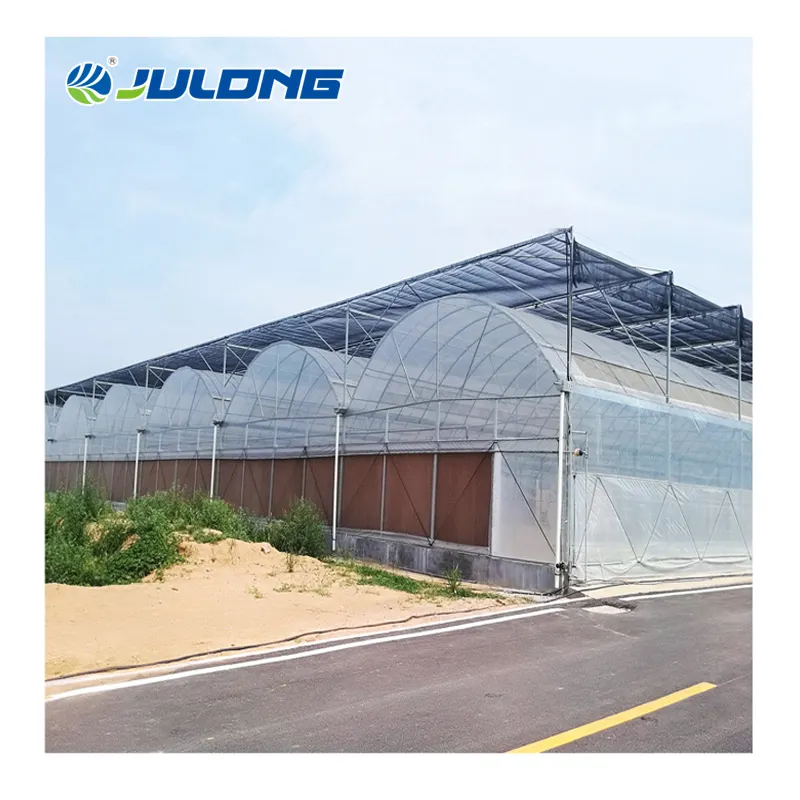 Agricultural Plastic film greenhouse with hydroponic growing system