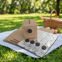 Boîte à boisson en carton ondulé portable 3L/5L avec bec verseur BIB et sac intérieur en carton imprimé laminé