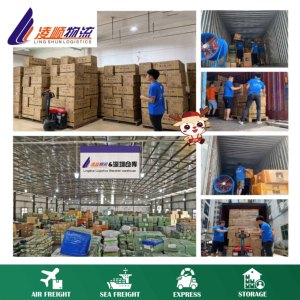 선전 운송 회사의화물 운송 업체에 의한 FCL/LCL 해양 배송 사우디 아라비아로 배송 에이전트 - Product Image 5