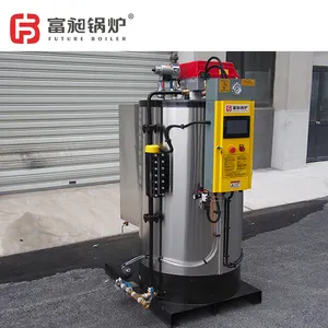 300 kg/H 500 kg/H gasolio combustibile lavanderia piccola orizzontale verticale industriale automatico acqua elettrica Gas caldaia a vapore