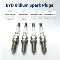 Bougies d'allumage Iridium BYD pour Qin Plus Song Plus DM-i 1.5L, OE 13505385-00, Allumage stable, démarrage à froid, longue durée de vie 80000KM