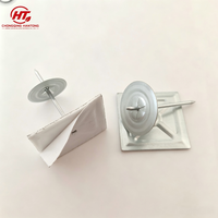 Clous d'isolation murale extérieure économiques avec poignées lisses en plastique, écologiques, ignifuges et durables pour usage scolaire, marque HT
