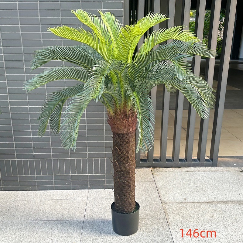 146 cm/30 feuilles