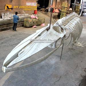 MY Dino decoración <span class=keywords><strong>de</strong></span> techo colgante tamaño real Animal <span class=keywords><strong>Ballena</strong></span> Azul esqueleto para la venta - Product Image 2