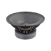 Haut-parleur de sonorisation professionnel de 21 pouces pour extérieur, bar, divertissement, KTV, avec haut-parleur de graves à haut rendement, 8 ohms