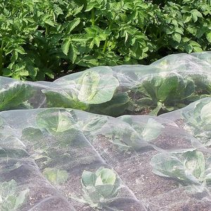 Red agrícola Multi Span HDPE 40 50 Mesh Anti Insect Net Invernadero Net House para vegetales Fruit Growing Insect Netting - Product Image 5