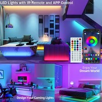 Bande lumineuse LED décorative Twinklight 12V 5050 RGB flexible, synchronisation musicale, intelligente, flexible, bande lumineuse LED néon RGB