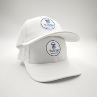 Gorra de Golf Deportiva Personalizada al por Mayor, Impermeable, de 6 Paneles, con Visera Curva, Bordado a Mano, Corte Láser, Transpirable, Ajustable, Unisex