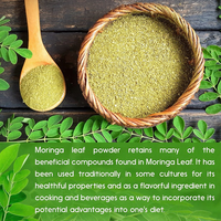 Poudre de Moringa Biologique en Vrac, Extrait de Feuilles, Complément Herbal en Poudre, Vente en Gros, Service OEM ODM
