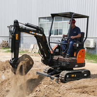 Mini-excavatrice 2 tonnes avec livraison gratuite – Idéale pour l'entretien des jardins domestiques, des fermes et des serres