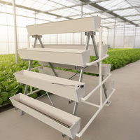 Système d'irrigation hydroponique pour ferme de fraises, gouttière de culture verticale, circulation d'eau automatisée, goutte-à-goutte, couverture PVC simple