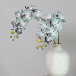 H-587 anggrek ungu lateks grosir 7 kepala bunga anggrek putih anggrek <span class=keywords><strong>Phalaenopsis</strong></span> sentuhan nyata anggrek - Product Image 3