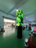 Module souple polychrome d'intérieur P2 P2.5 P3.076Poster écran led display