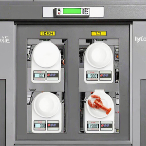 SF400 5kg <b>Bench</b> Scale Plastic LCD Screen Kitchen Scale with OEM/ODM Customization - Product Image 3