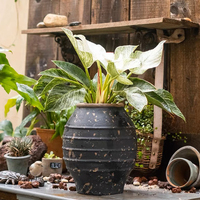 Maison nordique intérieur extérieur noir blanc mat ciment pot de fleur décoration de sol de jardin béton jardinière moule