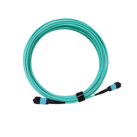 Kabel Serat Optik Trunk MPO Patch Cord 12 24 Core MTP Harga Pabrik Hongsheng, Mendukung Panjang Kustom OEM ODM