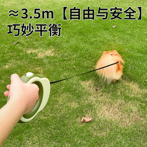 Nueva correa transfronteriza para perros con diseño de bloques de color aguacate, correa retráctil para pasear gatos y perros. - Product Image 2