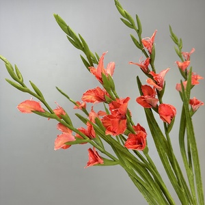 KEWEI 940 Gladiolus <span class=keywords><strong>Artificial</strong></span> Hojas Largas 5 Cabezas Gladiolus Faux Flower <span class=keywords><strong>Decor</strong></span> Hojas Verdes Flor - Product Image 1