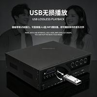 GAP-BK1000 Green Audio Amplifier Karaoke Profesional 3 Input Mic DSP Echo Anti-Feedback Power Amp untuk KTV Home Theater