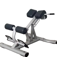 Banc d'extension dorsale pour l'hyperextension du dos, équipement d'exercice commercial, capacité de machine d'extension dorsale