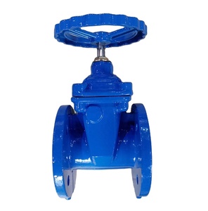 วาล์วประตูแบบ DIN3352 F4 - Product Image 4