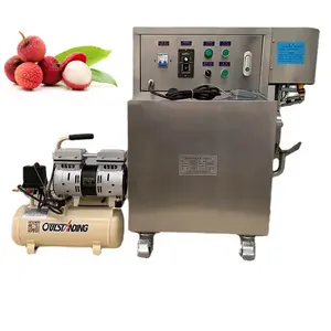 Automatic Lychee Peeling Machine Automatic Melon Peeler Stainless Steel Automatic Peel Machine