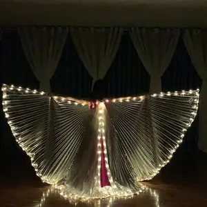 New Arrival LED Glowing Silver Split Skirt Dance Costume with Wings for Belly Dance and Halloween women