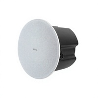 Subwoofer de Techo de 8 Pulgadas de ABS Resistente, Fácil de Instalar y con Sonido Nítido