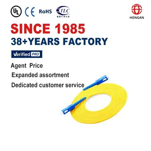 New Arrivals SC-SC Single Mode Armored 30 Meter Fiber Optic SC-SC Patch Cord Cable For Sale