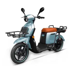 High Speed euro5 rent 4700W 3000W strong Electric Scooters Adults lithium battery food delivery scooter EEC COC EPA fashionable