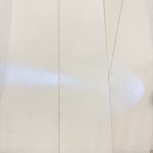 Cerdo silvestre de alta calidad USA100, papel estadounidense y <span class=keywords><strong>canadiense</strong></span>, accesorios de cine, no real, con tiras - Product Image 3