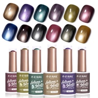 R S Nail 12 couleurs Automne et Hiver 3μm Gel œil de chat semi-permanent sans TPO sans HEMA Gel magnétique pour vernis à ongles