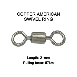 1pcs 50cm <span class=keywords><strong>de</strong></span> long et épais <span class=keywords><strong>fil</strong></span> d'acier 1mm <span class=keywords><strong>de</strong></span> diamètre ligne anti-morsure <span class=keywords><strong>fil</strong></span> avant pour mer rivière pêche bateau ceinture <span class=keywords><strong>de</strong></span> pêche rotative - Product Image 6