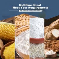 Petite rectifieuse pour blé/maïs/manioc/maïs, pour fraiser/broyer les Grains, le vinaigre, les pommes de terre séchées, le Tapioca, le Millet, l'igname, l'att Chakki