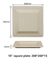 Assiette carrée en bagasse de canne à sucre de 10 pouces, structure robuste, compatible micro-ondes, vaisselle de restauration