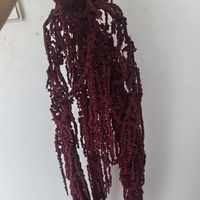 Bunga Kering Warna Merah Anggur Amaranthus Gypsophila Anna Hydrangea Buket Besar untuk Dekorasi Pusat Meja Acara  Grosir